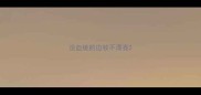 没血统的边牧不漂亮