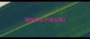 猫咪鼻头干燥发黑