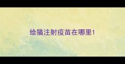 给猫注射疫苗在哪里