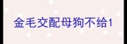 金毛交配母狗不给