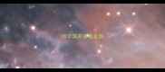 哈尔滨开宠物美容