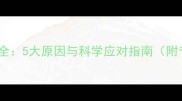 哈士奇刨地行为全5大原因与科学应对指南附专业训练方案