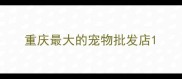 重庆最大的宠物批发店