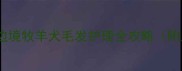 边牧需要天天梳毛吗边境牧羊犬毛发护理全攻略附正确梳毛频率与技巧