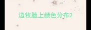 边牧脸上颜色分布