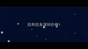 拉布拉多深圳价格