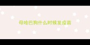 母哈巴狗什么时候发疫苗