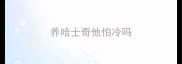 养哈士奇他怕冷吗