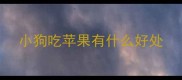 小狗吃苹果有什么好处