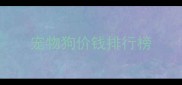宠物狗价钱排行榜