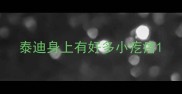 泰迪身上有好多小疙瘩