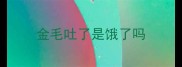 金毛吐了是饿了吗
