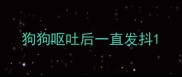 狗狗呕吐后一直发抖