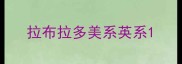 拉布拉多美系英系