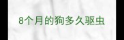8个月的狗多久驱虫