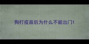 狗打疫苗后为什么不能出门