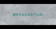 猫咪耳朵出血是什么病