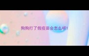 狗狗打了假疫苗会怎么样