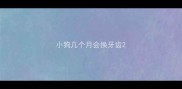 小狗几个月会换牙齿
