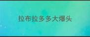 拉布拉多多大爆头