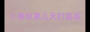 小德牧第几天打疫苗