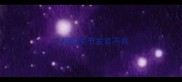 小狗髋关节发育不良