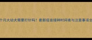 3个月大幼犬需要打针吗最新疫苗接种时间表与注意事项全