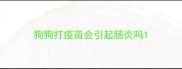 狗狗打疫苗会引起肠炎吗