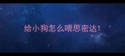 给小狗怎么喂思密达