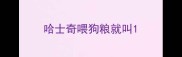 哈士奇喂狗粮就叫