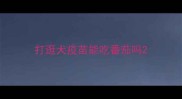 打逛犬疫苗能吃番茄吗