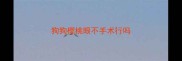 狗狗樱桃眼不手术行吗