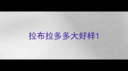 拉布拉多多大好样