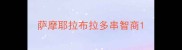 萨摩耶拉布拉多串智商