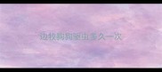 边牧狗狗驱虫多久一次