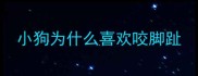 小狗为什么喜欢咬脚趾