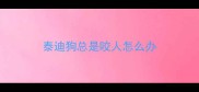 泰迪狗总是咬人怎么办