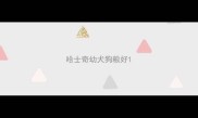 哈士奇幼犬狗粮好