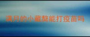 满月的小藏獒能打疫苗吗