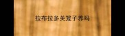 拉布拉多关笼子养吗