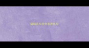 猫咪乳头变大是否怀孕