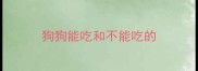 狗狗能吃和不能吃的