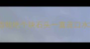 边牧吃个块石头一直流口水