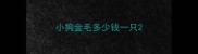 小狗金毛多少钱一只