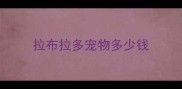 拉布拉多宠物多少钱