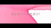 哈士奇八个月吃多少