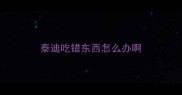 泰迪吃错东西怎么办啊