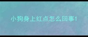 小狗身上红点怎么回事