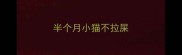 半个月小猫不拉屎