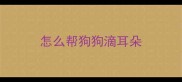 怎么帮狗狗滴耳朵
